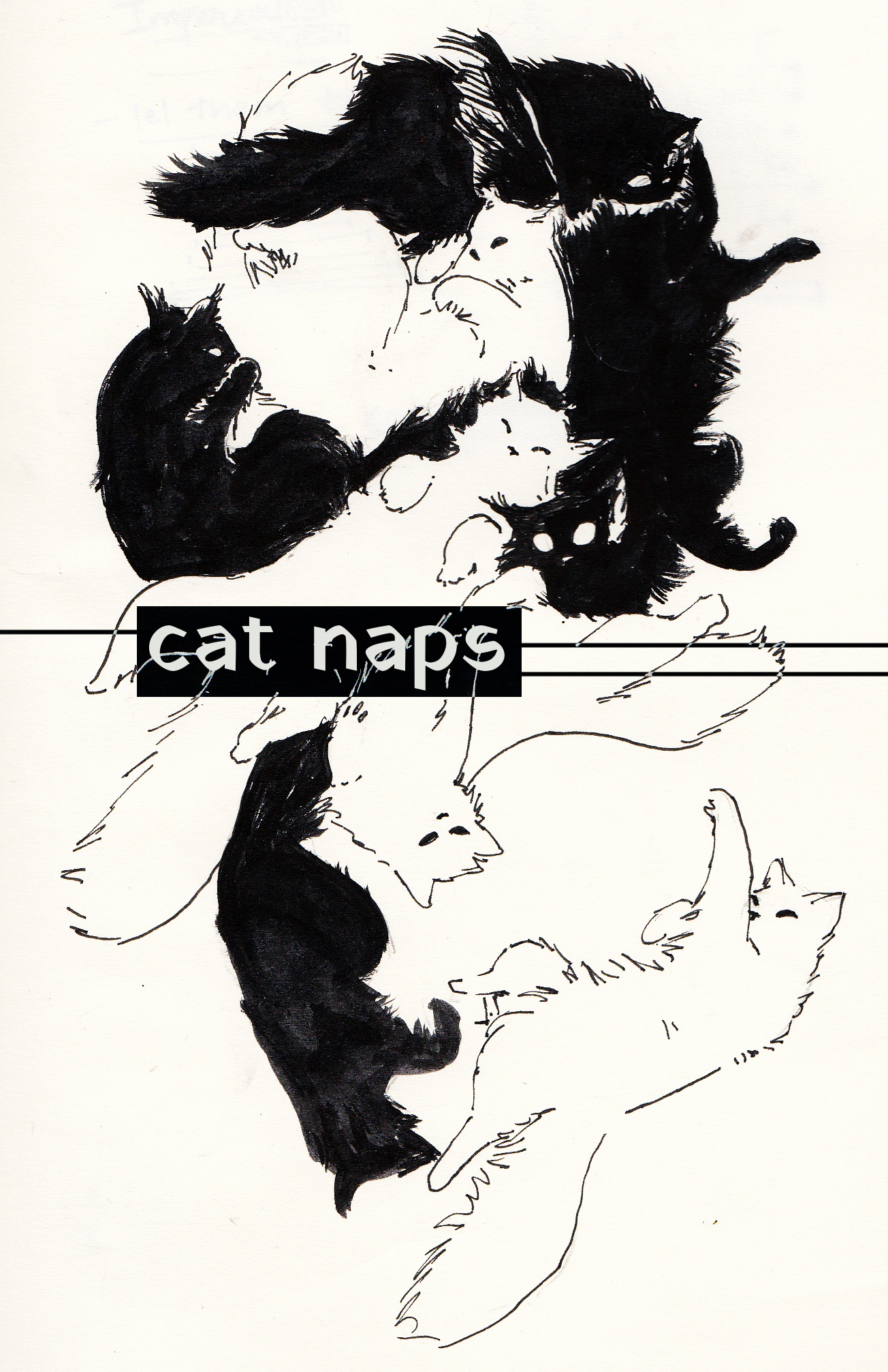 Loose black-ink drawing titled 'cat naps': a tangle of black and white cats curled and sprawled together, the words 'cat naps' set in a small black label across the middle