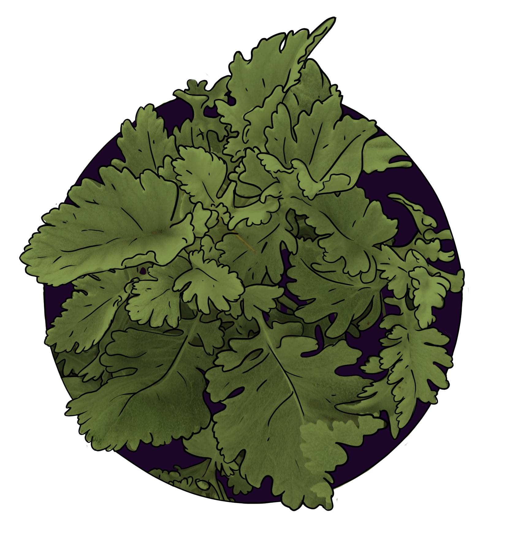 Circular composition of layered green leaves rendered in muted olive tones against a dark purple background
